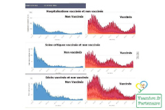 Stats-2022-vaccines-non-vaccines.pdf